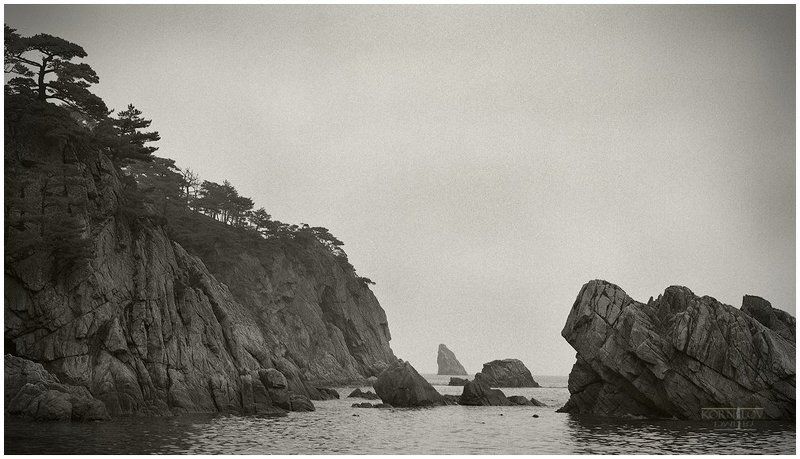 туман, море, гамова, витязь, плёнка, киев, 88, приморский, край, владивосток, дмитрий, корнилов, северные, земли *** фото превью