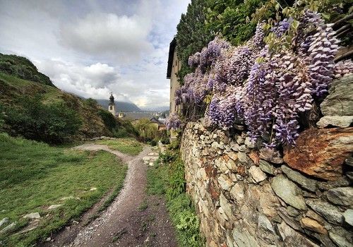 Дорога к Храму