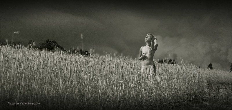 Прогулки по лету... фото превью