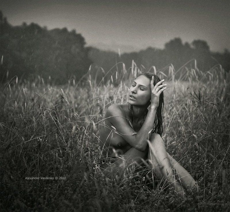 Summer rain... фото превью