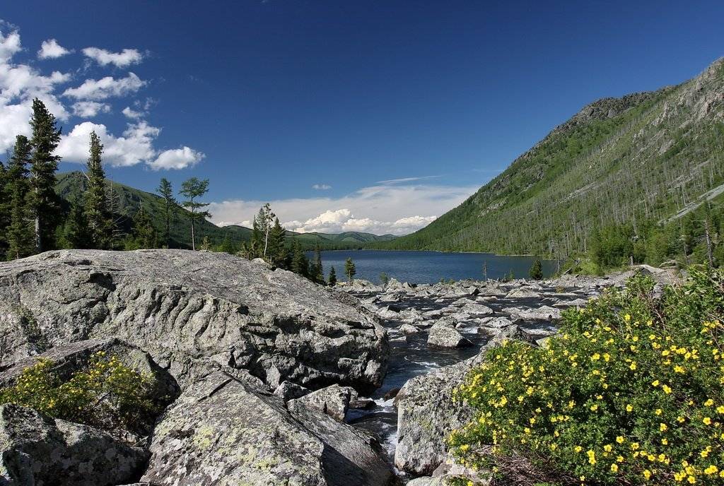 алтай, Васенин Валерий