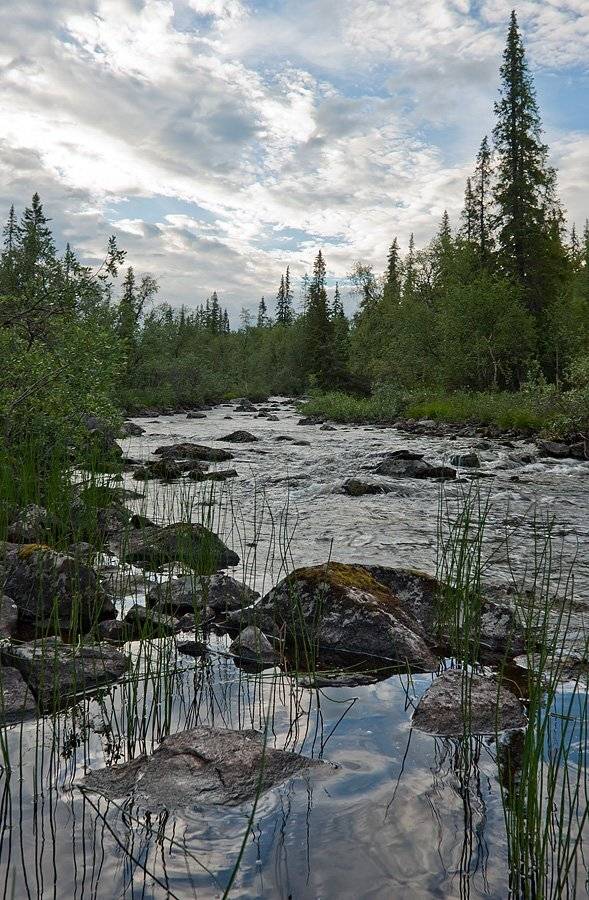 кольский, полуостров, locus