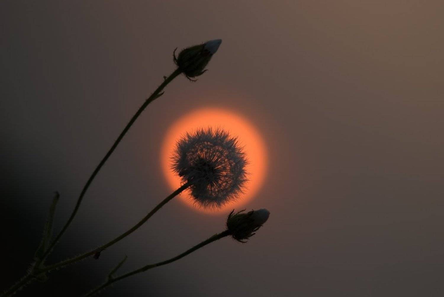 , Татьяна Аверина