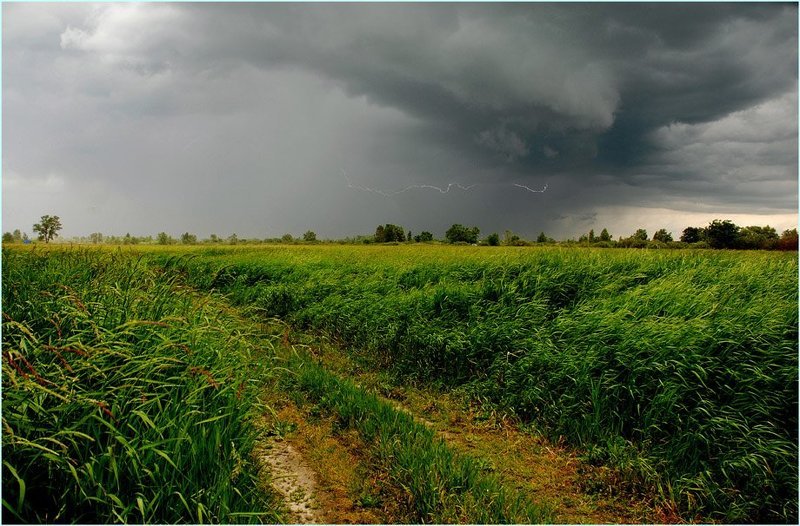 гроза, молния, грозовой_фронт, луг Грозовой фронт (1) фото превью