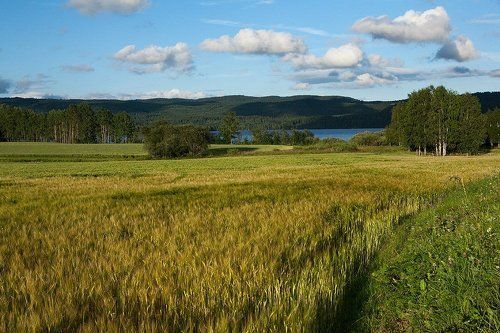 Норвежские зарисовки