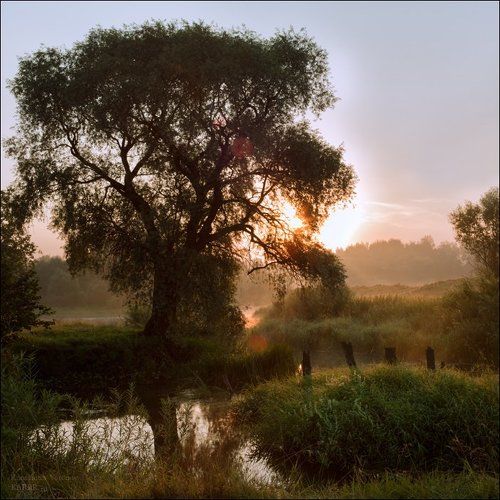 Рассвет на реке Суходрев