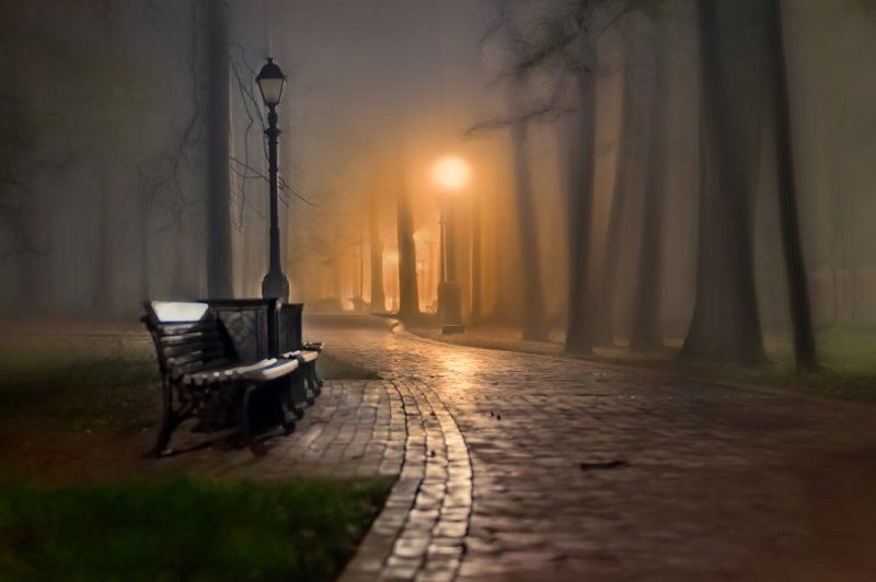 торфяная ночь в царицыно. фото превью