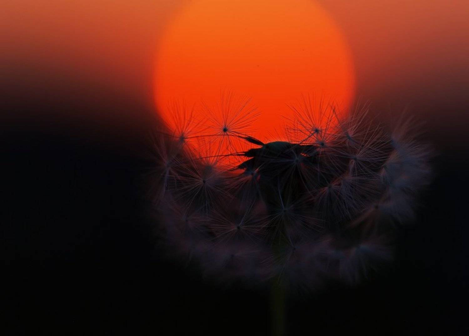 , Татьяна Аверина