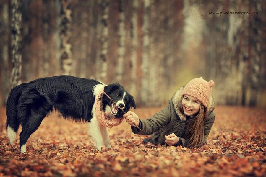 , Ирина Амосова