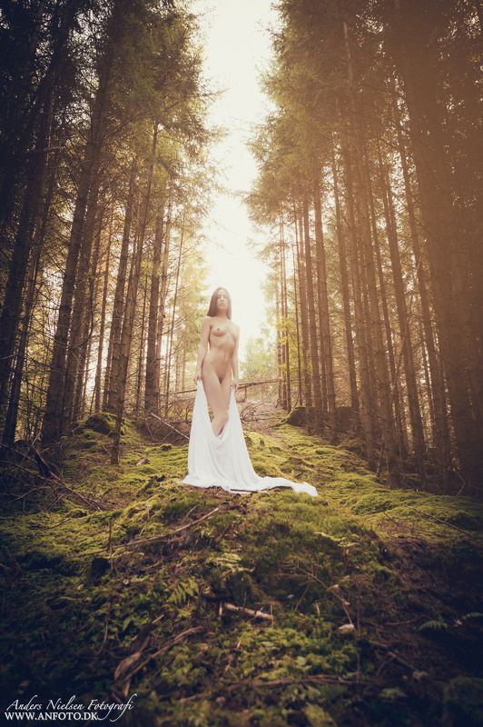 Ascending Angel фото превью