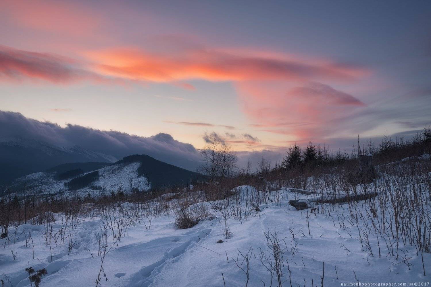 горы, природа, карпаты, красивый, говерла, пейзаж, снег, украина, петрос, холод, небо, лес, путешествия, зима, дерево, рождество, мороз, фон, карпатский, свет, белый, новый, год, снежный, вечер, страна, вид, дерево, живописный, Александр Науменко