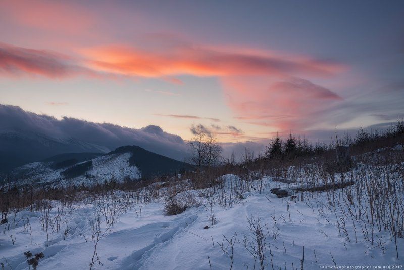 горы, природа, карпаты, красивый, говерла, пейзаж, снег, украина, петрос, холод, небо, лес, путешествия, зима, дерево, рождество, мороз, фон, карпатский, свет, белый, новый, год, снежный, вечер, страна, вид, дерево, живописный Украина. Закарпатье. Закат у Козьмещика фото превью