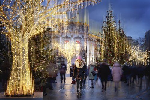 Сказочные огни Рождества