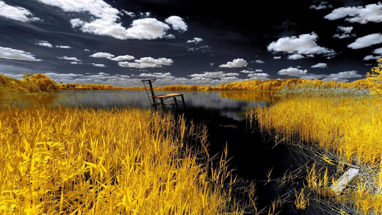 infrared,ик-фото,инфракрасное фото,инфракрасная фотография,пейзаж,природа,беларусь,весна, Sixten ( Сергей )