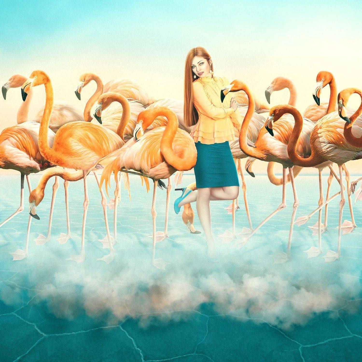 photomanipulations, redflamingo, model, imitation, photo art, flamingo, clouds, creative art  , Olga Tkachenko