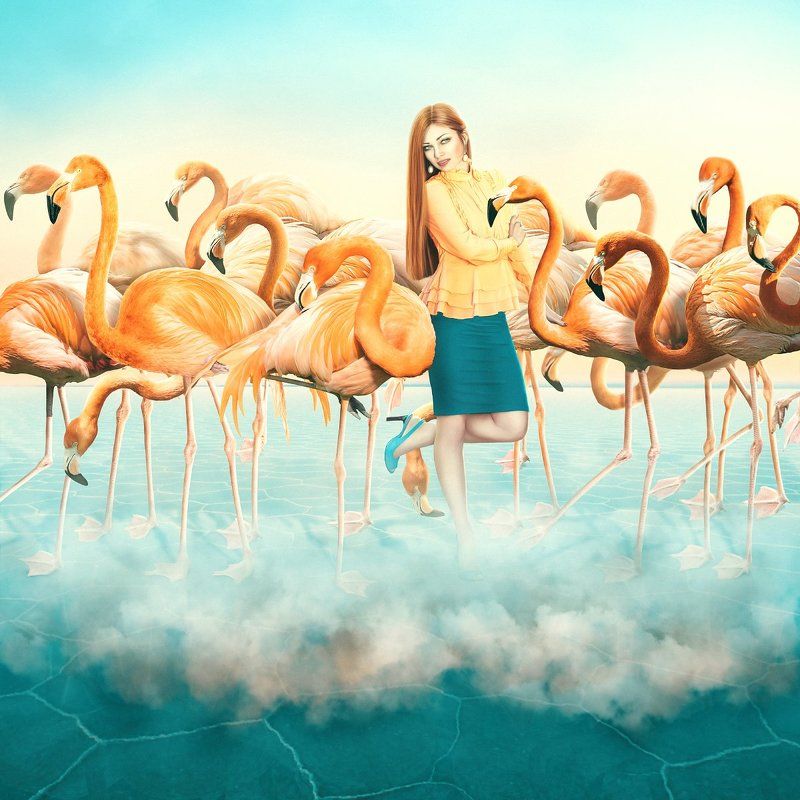 photomanipulations, redflamingo, model, imitation, photo art, flamingo, clouds, creative art   The Imitation game фото превью