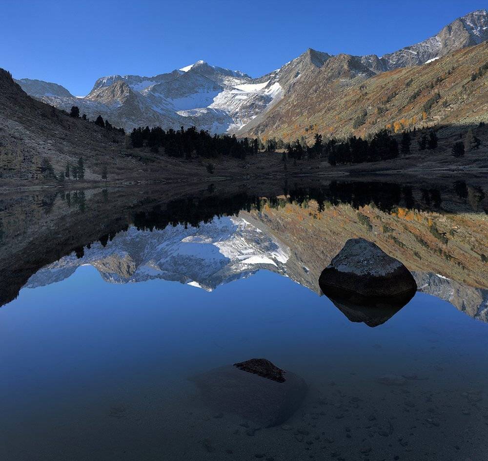 , Алексей Родак