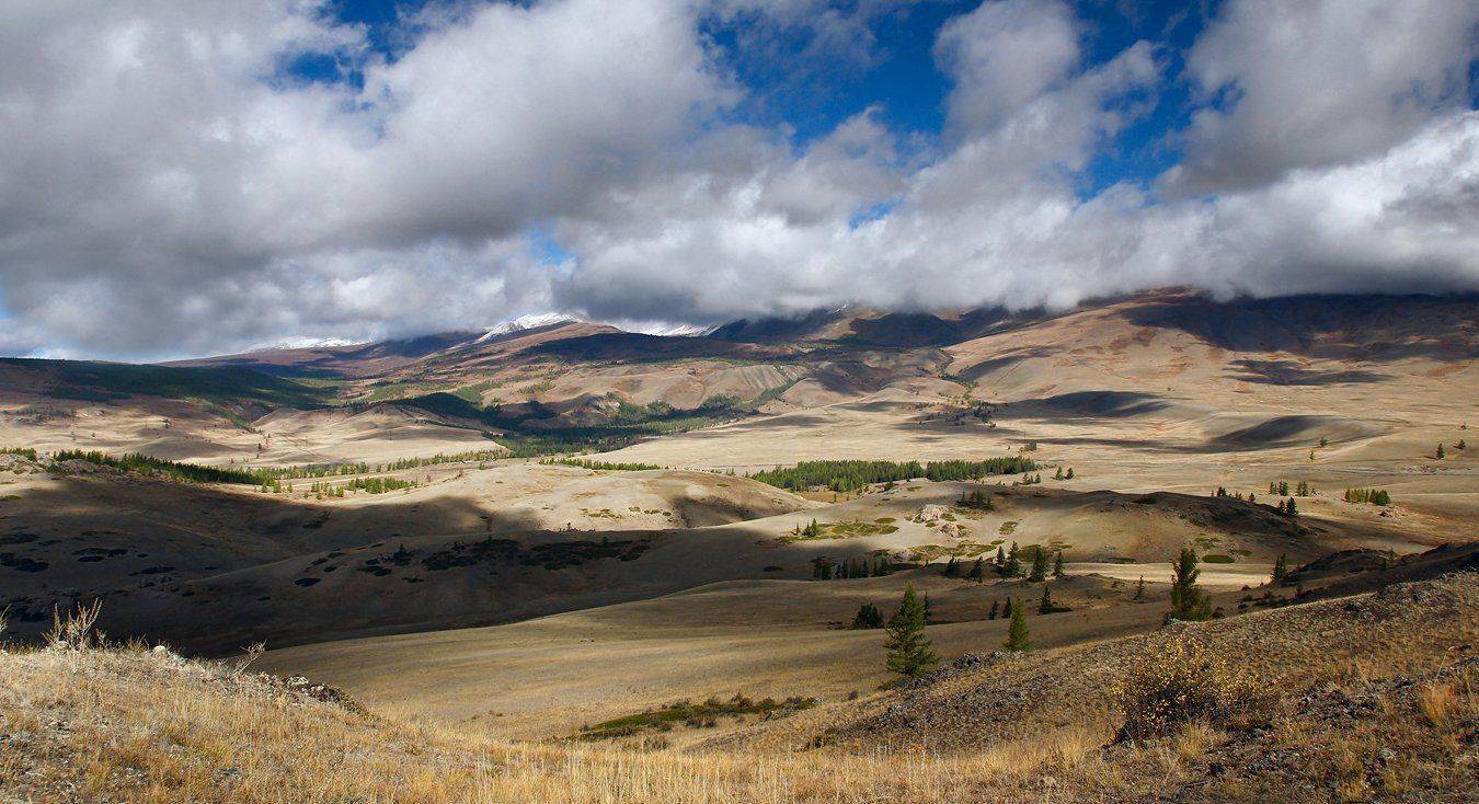 , Дмитрий Д.