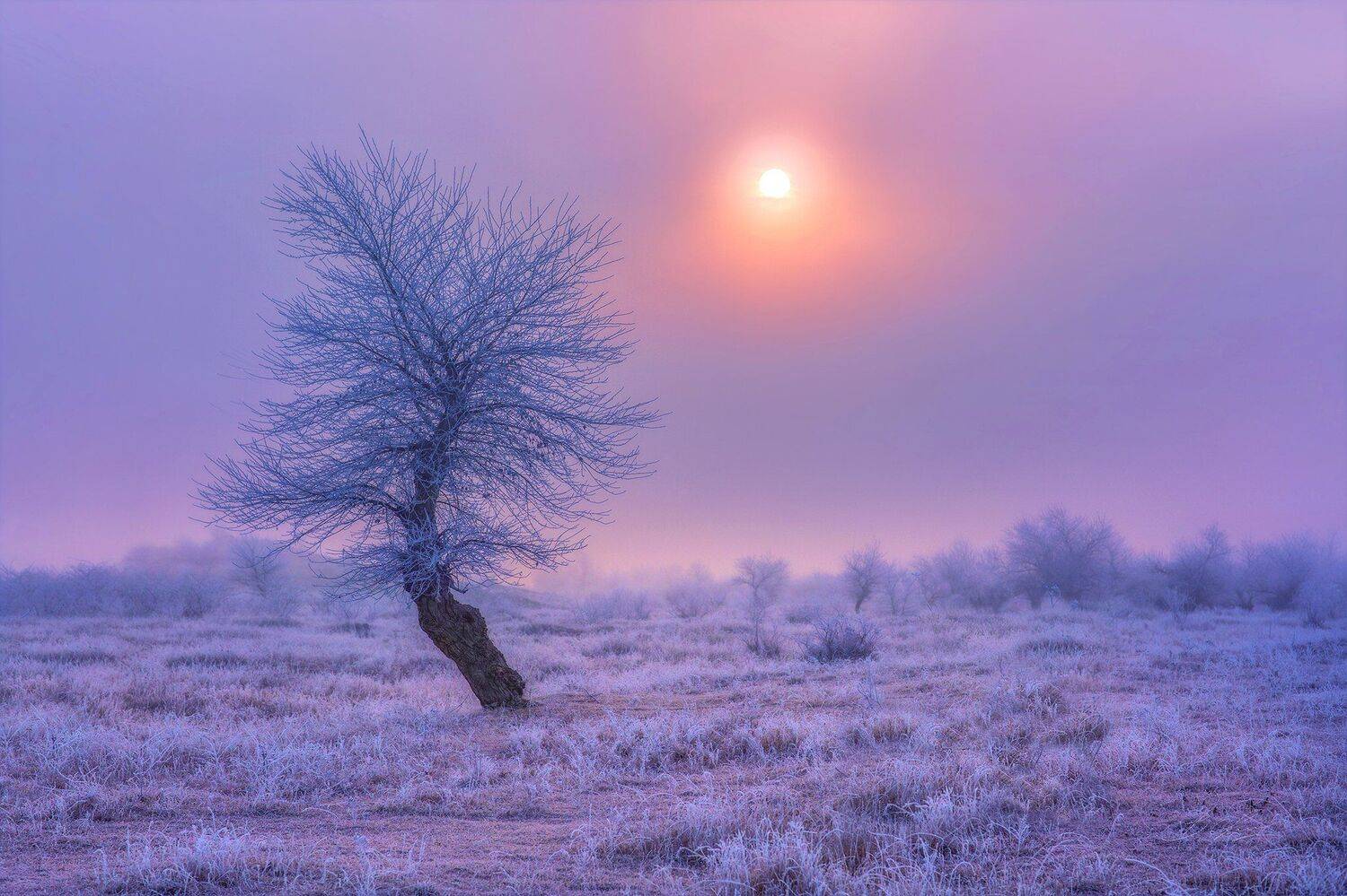 , Bessarion Chakhvadze