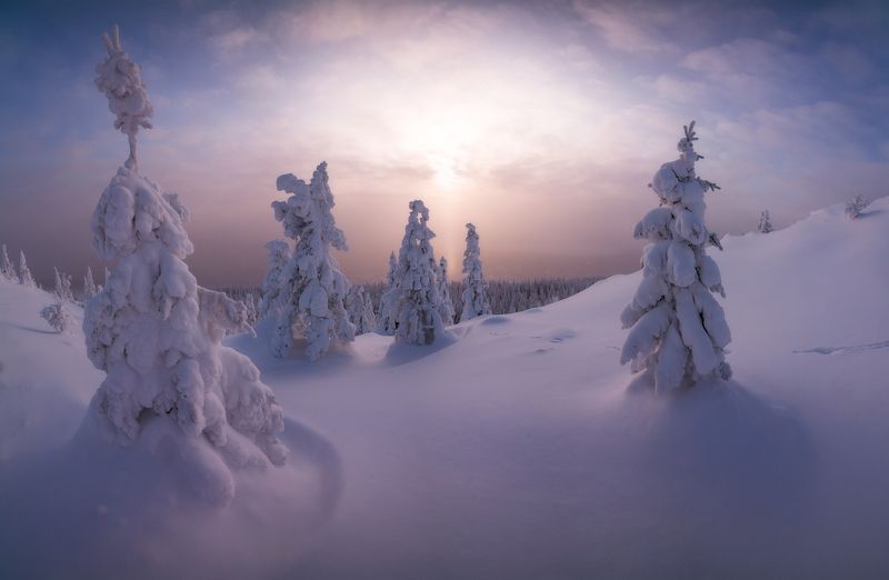 Пушистое настроение фото превью