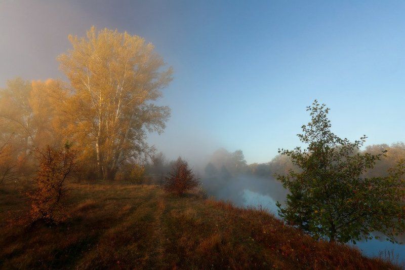осень, утро, река, туман Под вуалью тонкою тумана. фото превью