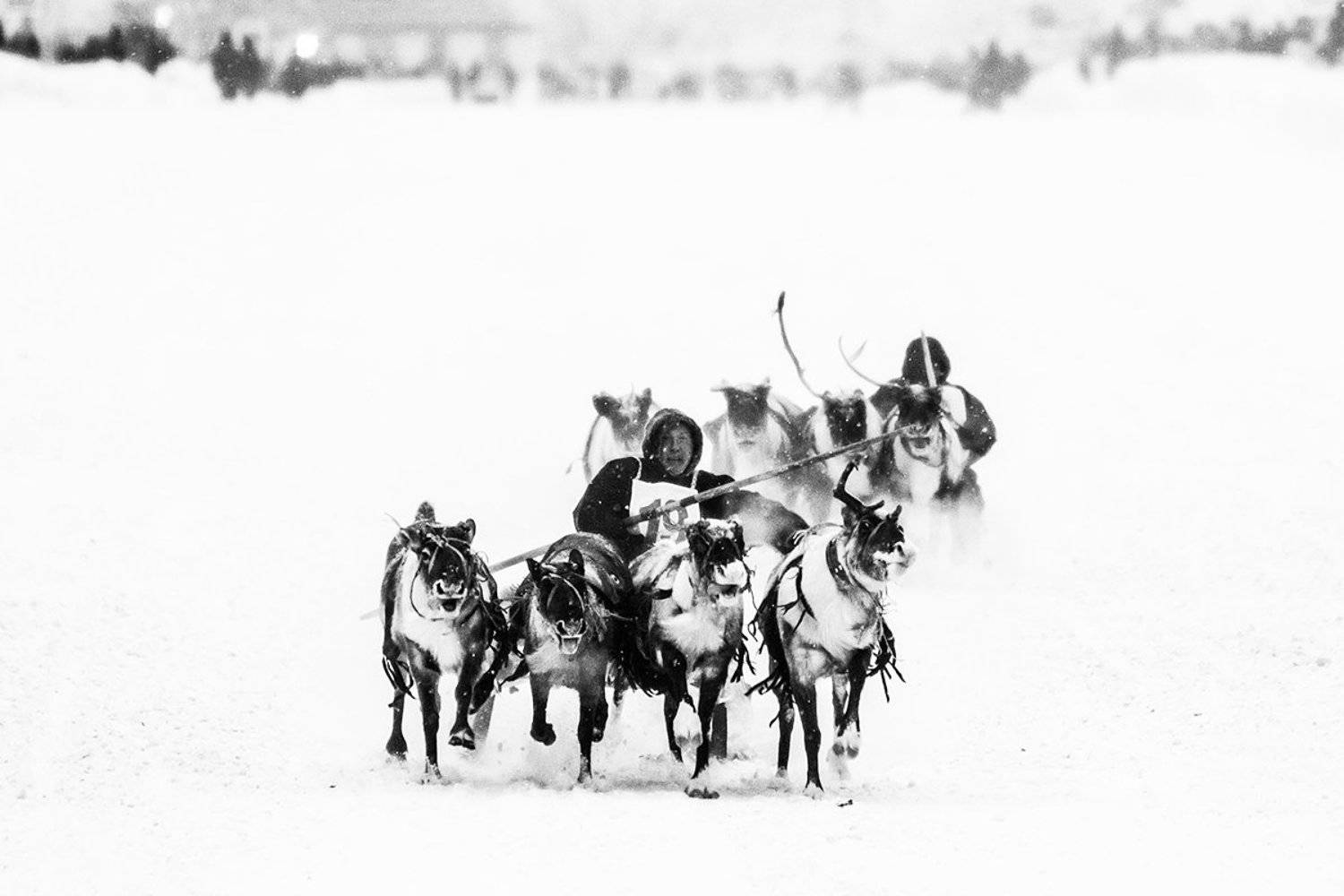 , Марина Сивакова