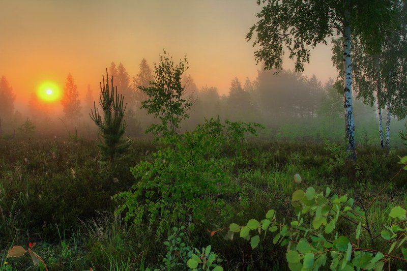 рассвет,утро Ранним утром... фото превью