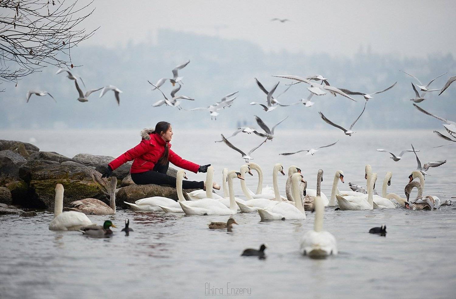 landscape, ballet, ballerina, dance, dancing,, Enzeru Akira