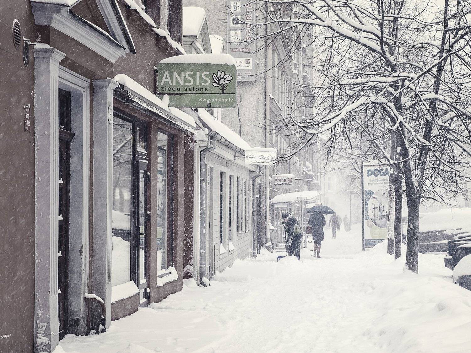 город, рига, путешествия, зима, метель, мороз, снег, никон, тамрон, Вавилова Елизавета
