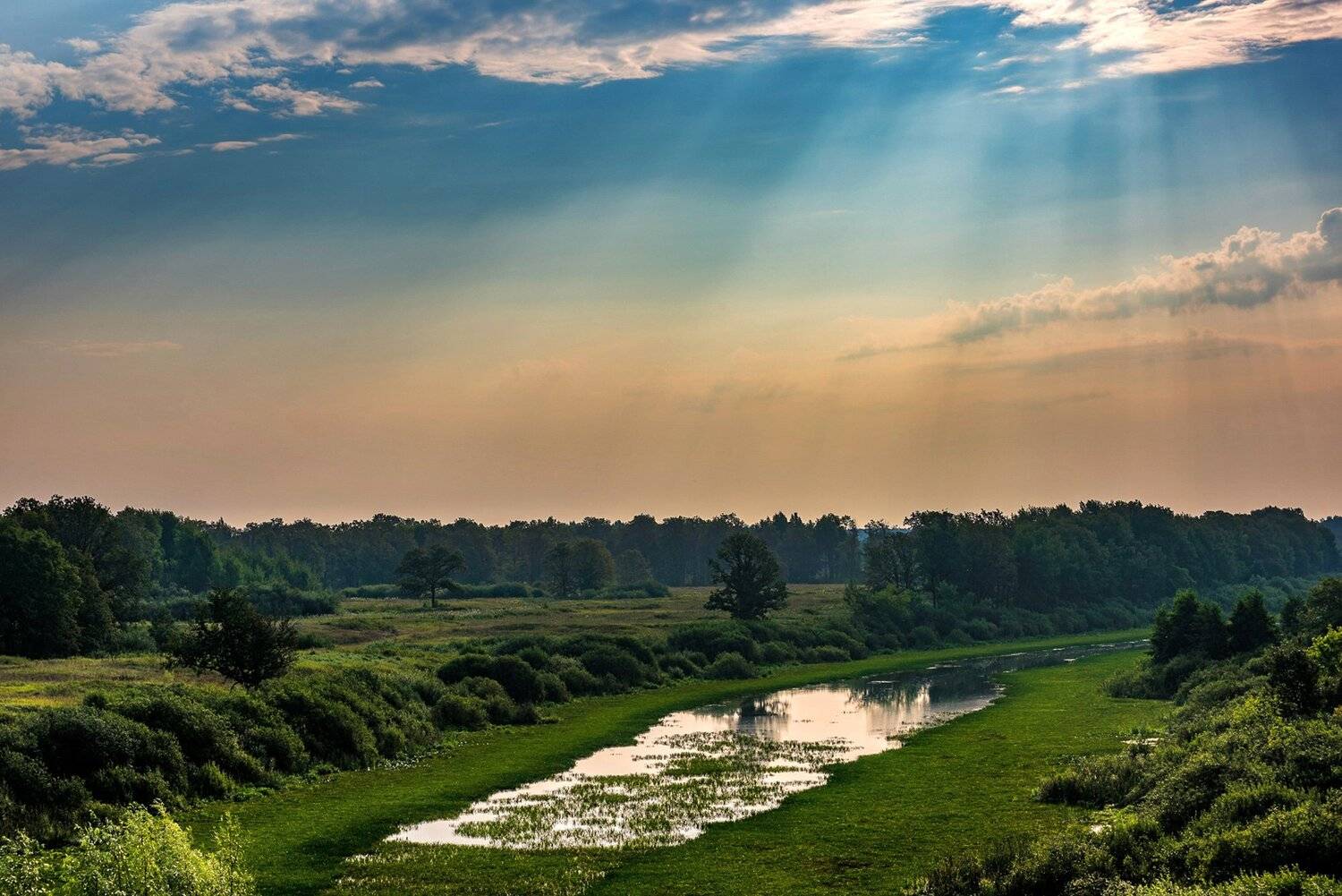 лето, муром, поездки, разное, Владимир Штыриков