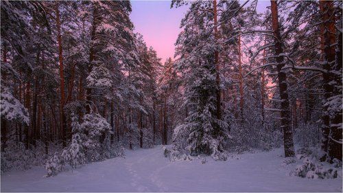 Январские мотивы