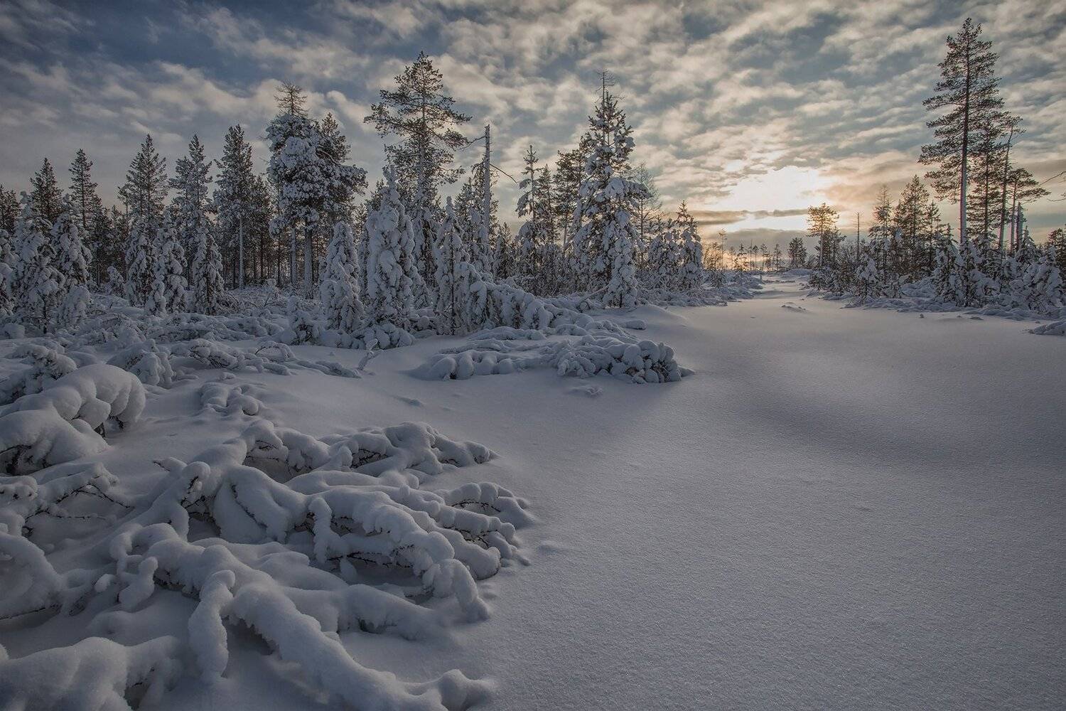 якутия, нерюнгри, зима, Евгения Левина