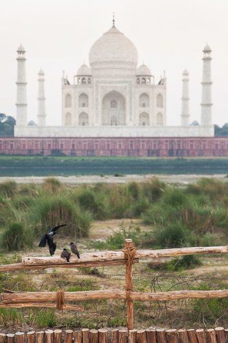 Тадж-Махал и его жители