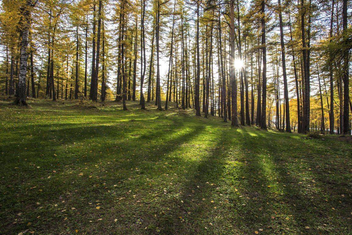 , Качурин Алексей