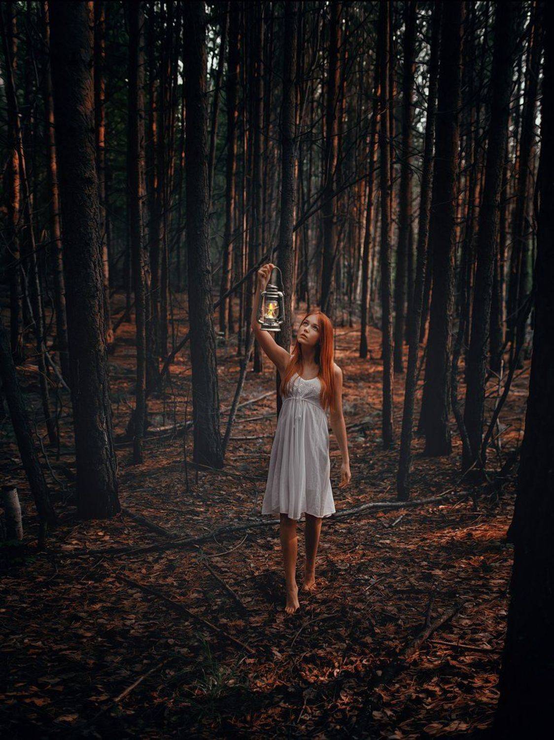 , Белозеров Дмитрий