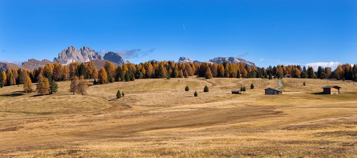 , Игорь Дубровский