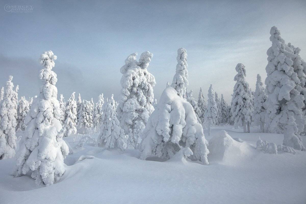таганай зима лес урал, Сергей Сотников