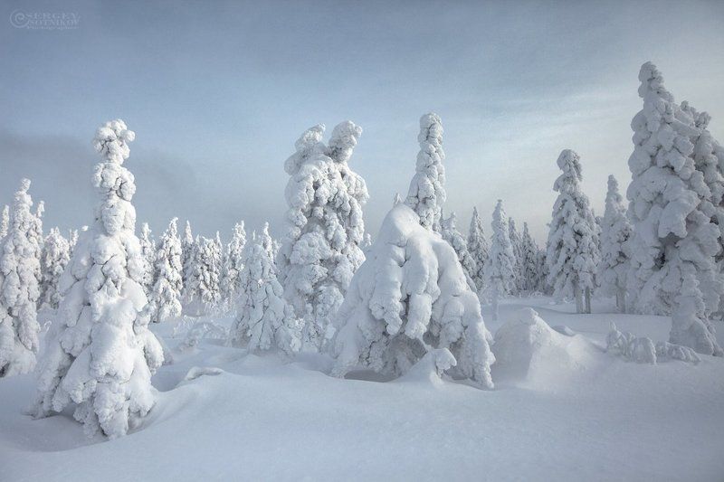 таганай зима лес урал *** фото превью