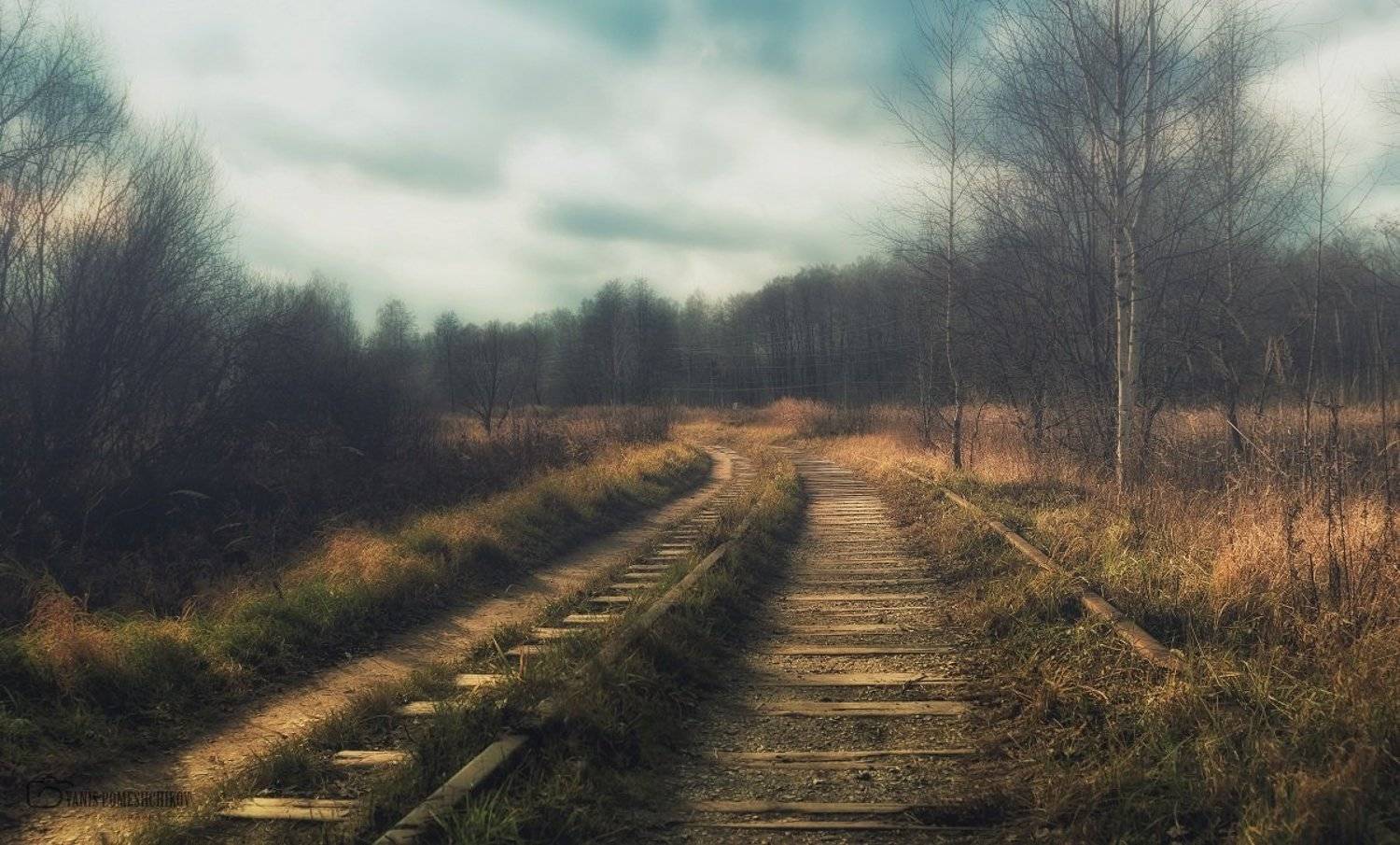 way,road,nature,autumn, Помещиков Ян
