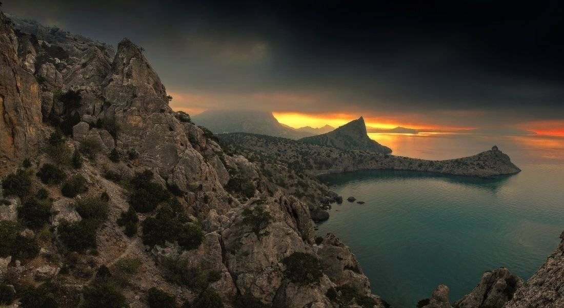 , Андрей Дитковский