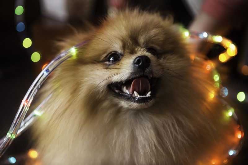 Бриллиант фото превью