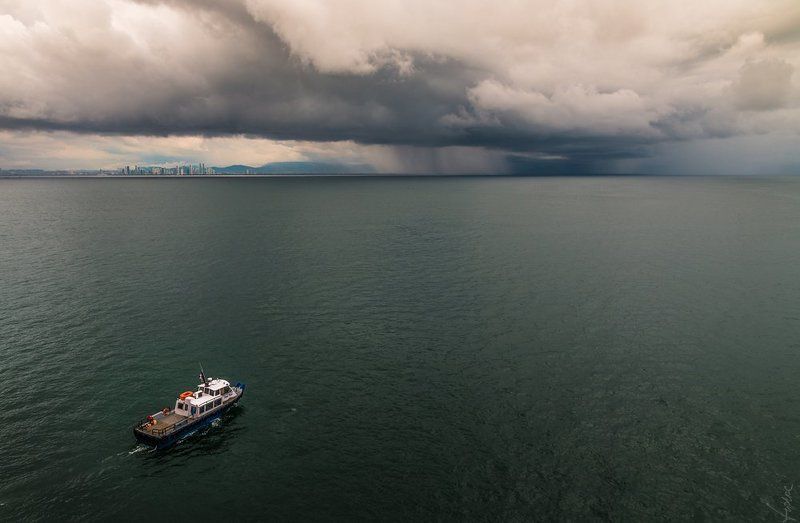 To the storm фото превью