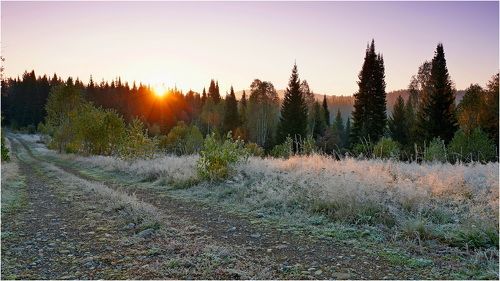 Студеное утро! 