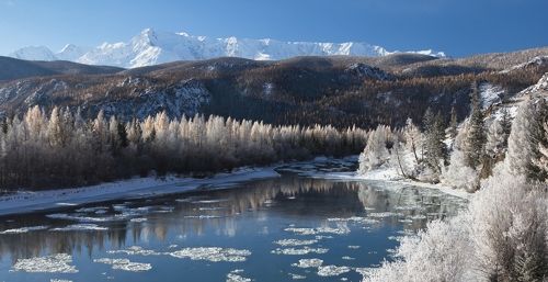 Чуя в серебре