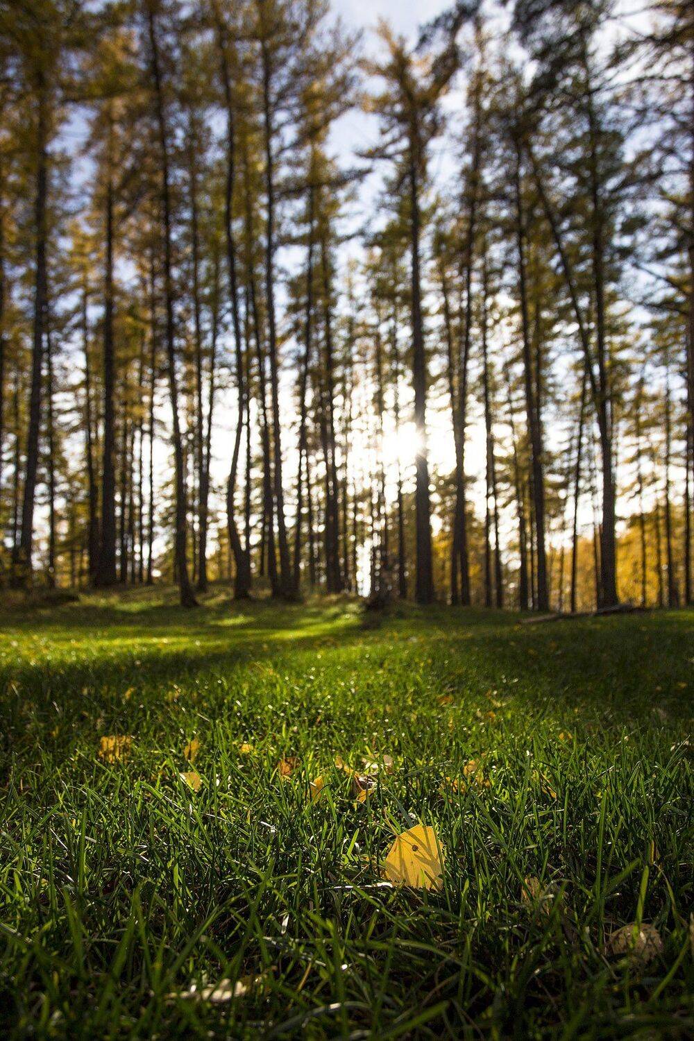 орск, качурин, Качурин Алексей