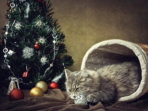 Новогодние истории