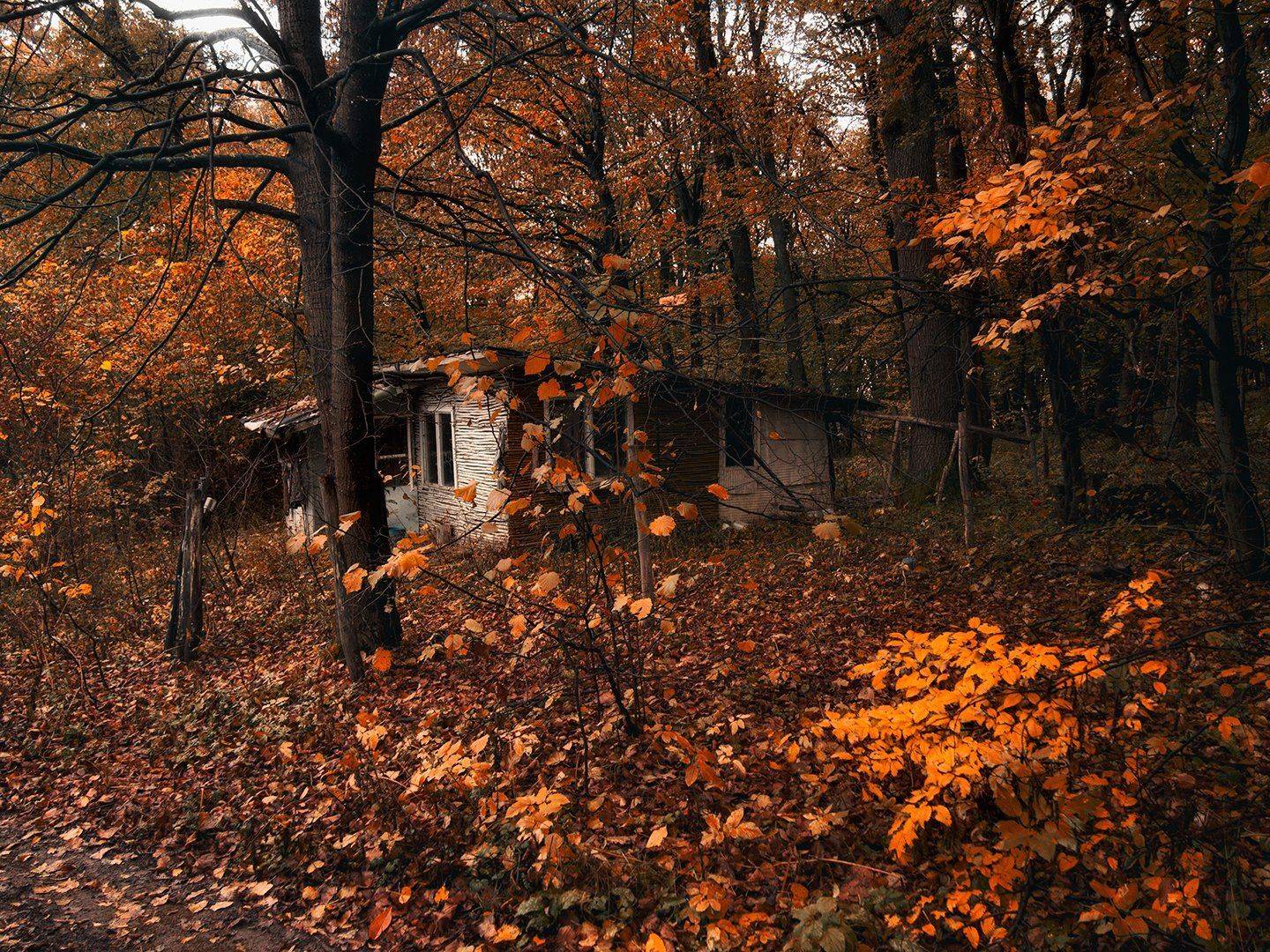 , Димитър Стоянов