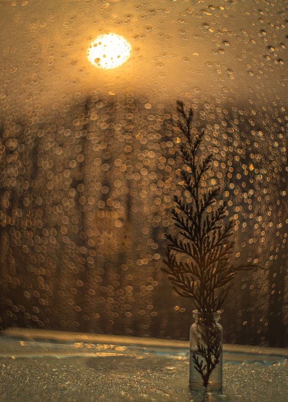 Вечернее спокойствие фото превью