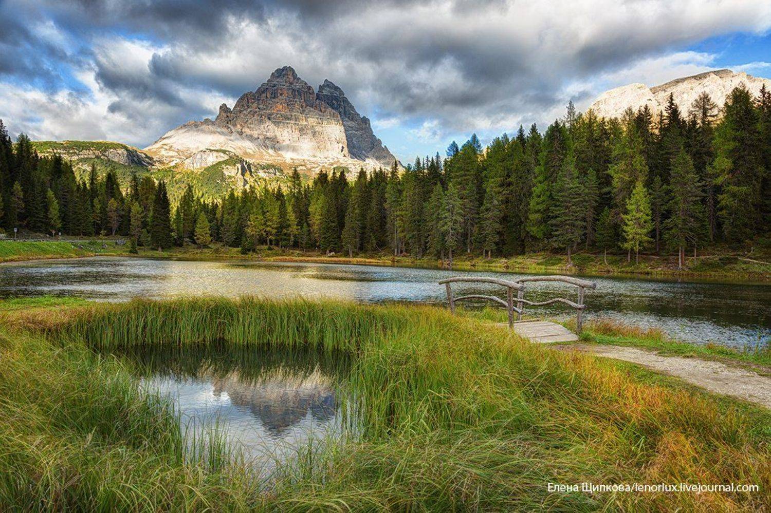 , Щипкова Елена