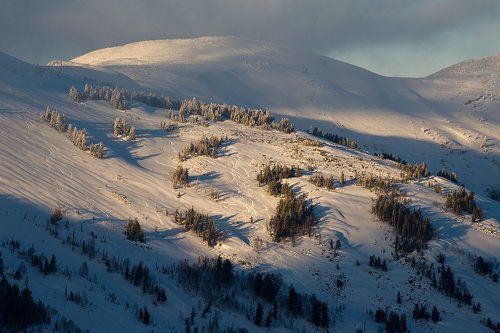 Pro свободу и красоту